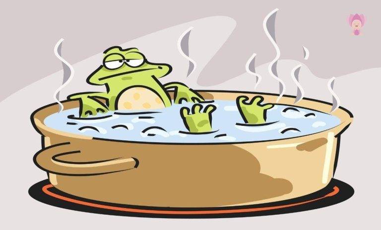 For Happy Baby Episode #949 companion – After Dark: Dead Frogs https://www.forhappybaby.com/episode-949-companion-after-dark-dead-frogs/